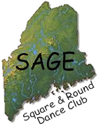 SAGE logo SAGE logo